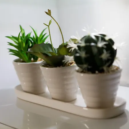 Live In Sky Penthouse 5*