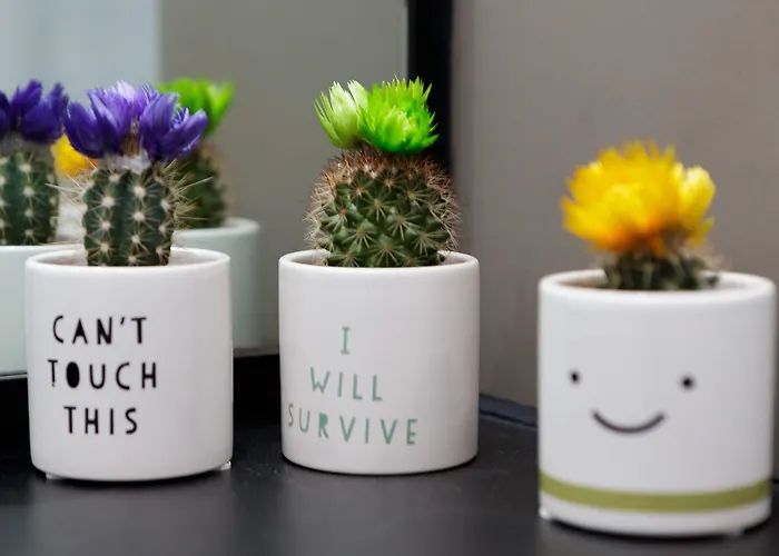 Live In Sky Penthouse Leeds (West Yorkshire)