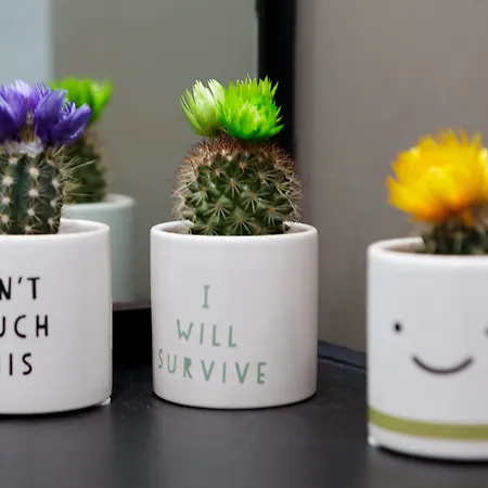 Live In Sky Penthouse Leeds