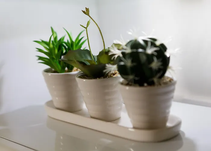 Live In Sky Penthouse 5*